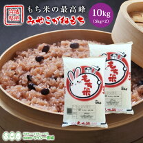 みやこがねもち もち米 10kg 送料無料 宮城県産 令和4年産 《10kg（5kg × 2袋）》 餅米 みやこがね 宮城県 国内産米 10kg 精米 単一原料米 検査米 ブランド米