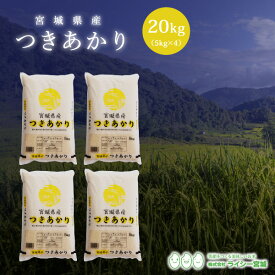 つきあかり 米 20kg 宮城県産 送料無料 あす楽 令和5年産 《20kg（5kg × 4袋）》 白米 お米 20kg 米20kg 米20キロ 20キロ 宮城県 月あかり 国内産米 精米 単一原料米 検査米