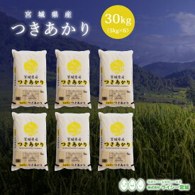 つきあかり 米 30kg 宮城県産 送料無料 あす楽 令和5年産 《30kg（5kg × 6袋）》 白米 お米 30kg 米30kg 米30キロ 30キロ 宮城県 月あかり 国内産米 精米 単一原料米 検査米