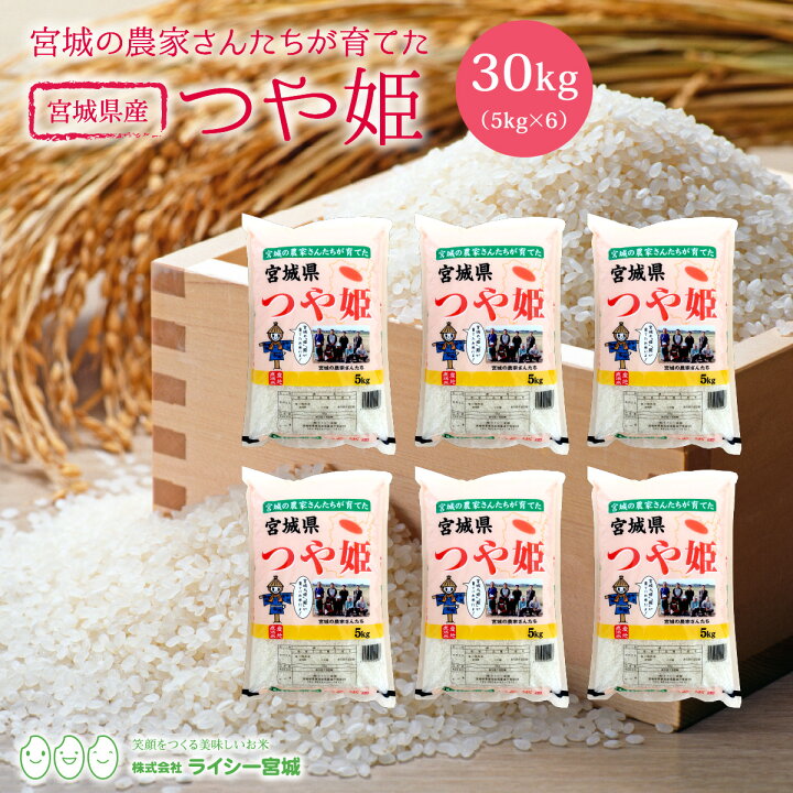 楽天市場】新米 つや姫 米 30kg 送料無料 宮城県産 令和6年産 《30kg  