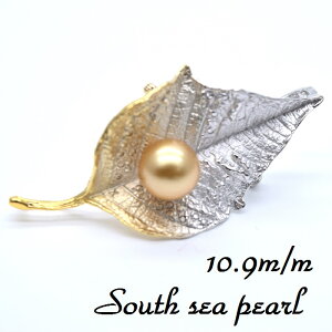 m^u[`y11mmUPz^/{^/S[h/Vo[/Ԃ/NX^`F[/45cm/w/v[g////Ǝ/Vvu[P/AM[/iۏ؏t/z