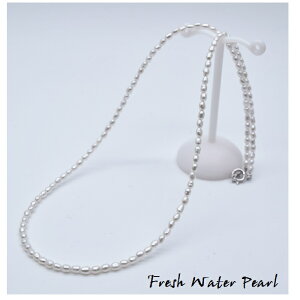 W^xr[lbNX/{^/xr[p[/`F[//Ew/v[g//`[J[//Vv/1A/A//IV//Mtg/iۏ