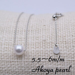 ^X[lbNX45cmyԎ색N5.5-6mmzЂƗy_g/K10YG/K10WG/10CG[S[h/10zCgS[h/w/{^/̓/tH[}/AM[/iۏ