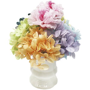 Ε vU[uht[ ȂȂ S AWTC sN J[l[V C[W AWg NAP[X Mtg X pI ֗ Ki lC  ƒp Ԃ j 