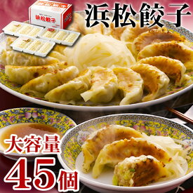 お歳暮 ギフト 浜松餃子 45個 内祝い お誕生日 出産内祝い 結婚内祝い 送料無料 高級 プレゼント ギフトセット 香典返し 法要 法事 還暦 贈答品 お返し 贈り物 人気 売れ筋 お取り寄せ