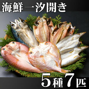 Mtg CNꎬJZbg (G)   j a oYj j   v[g MtgZbg TԂ @v @ җ i Ԃ 蕨 lC  