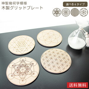 _􉽊w ؐ[U[ a10cm u ^gL[u@t[IuCt Vg V[hIuCt u ANZT[u CeA ґz K ̃ANZ