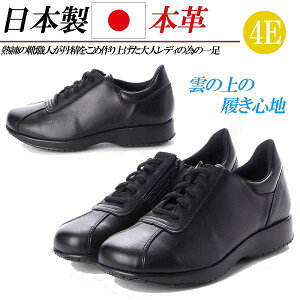 { {v Xj[J[ fB[X C 4E v RtH[gV[Y [Jbg U[Xj[J[ R JWAV[Y y  ubN