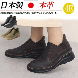 { {v v TChSAu[c 4E L fB[X V[gu[c EFbWq[ 5cm u[c V[g TChSA Xj[J[u[c  ubN uE