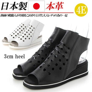 { {v T_ fB[X u[cT_ [q[ L 4E U[ v T}[u[c p`O  ubN  zCg