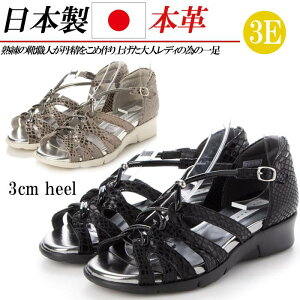 { {v T_ fB[X EFbWq[ [q[ 3E L RtH[gT_ Xgbv OfBG[^[  ubN O[ pC\