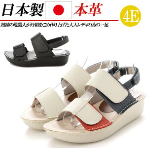 { {v T_ 4E fB[X RtH[gT_ U[ L tbg  4cm xN Xgbv  ubN  zCg