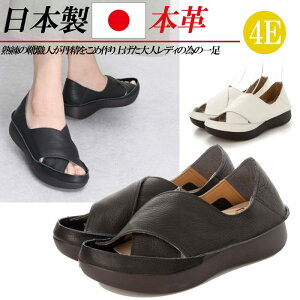 { {v T_ fB[X RtH[gT_ 4E L  y ₷ NX U[T_  ubN  zCg J[L