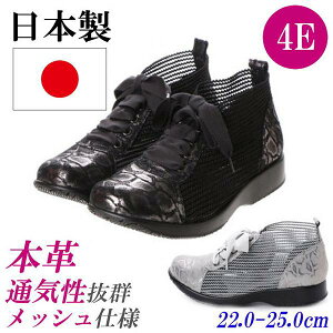 { {v C fB[X 4E RtH[gV[Y [XAbv JWAV[Y y U[V[Y L RtH[g Xj[J[ bV ʋC