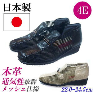 { {v C fB[X 4E RtH[gV[Y JWAV[Y y U[V[Y L RtH[gXj[J[ bV ʋC