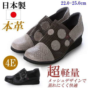 { {v C fB[X 4E RtH[gV[Y  JWAV[Y y U[V[Y L RtH[gXj[J[ bV ʋC