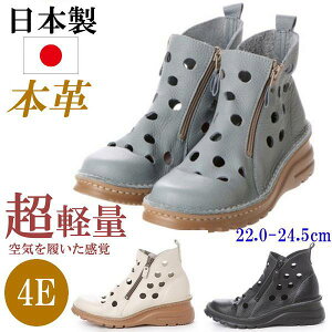 { {v V[gu[c fB[X u[c V[g L 4E ₷ ɂȂ y U[ RtH[gu[c p`O ʋC 傫TCY  