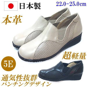 { {v C fB[X 5E RtH[gV[Y  JWAV[Y y U[V[Y L RtH[gXj[J[ bV ʋC