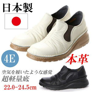 { {v RtH[gV[Y Xb| TChSA Xj[J[ fB[X JWAV[Y  ₷ ɂȂ L EEEE 4E y hL R