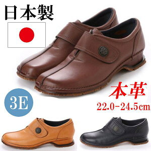 { {v RtH[gV[Y Xb| Xj[J[ fB[X JWAV[Y  C ₷ ɂȂ L EEE 3E y h