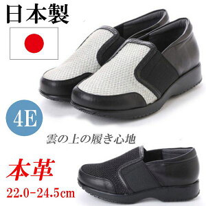 { {v RtH[gV[Y Xb| TChSA Xj[J[ fB[X EH[LOV[Y  ₷ ɂȂ L EEEE 4E y