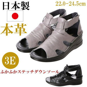 { {v T_  fB[X EFbWq[ tbgq[ RtH[gT_ U[ L 3E RtH[gV[Y EFbW