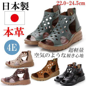 { {v T_ fB[X [q[ tbg U[ u[cT_ nCJbg V[Y 傫TCY 4E p`O ʋC