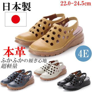 { {v T_ fB[X [q[ tbg  U[@RtH[gT_ p`O fB[XT_ S Xgbv 傫TCY 4E L