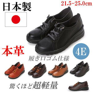 { {v Xj[J[ fB[X RtH[gV[Y Xb| Xj[J[ [Jbg  傫TCY JWAV[Y U[ 4E L