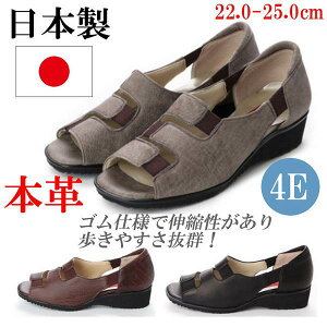 { {v RtH[gV[Y I[vgD EFbWq[ ɂȂ ₷ 4E pvX [q[ I[vgDpvX ʋ fUCpvX 