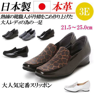 { {v [t@[ pvX [q[ q[ ɂȂ ₷ 3E EEE XNGAgD  Gi  tH[} ʋ RtH[gV[Y