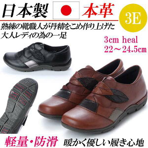 { {v Xb| fB[X RtH[gV[Y JWAV[Y U[ L 3E tbgV[Y Xj[J[ JWA fB[XV[Y