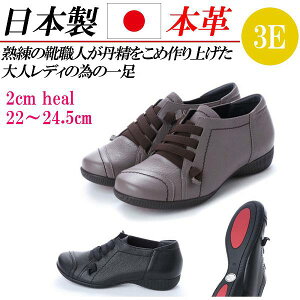 { {v Xj[J[ fB[X C S JWAV[Y U[ y L 4E RtH[gV[Y RtH[gXj[J[ 