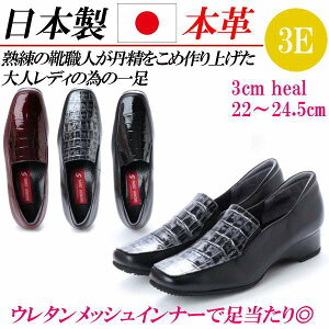 { {v [t@[ [q[ L 3E RtH[gV[Y Xb| tbgV[Y ɂȂ ₷ ʋ XNGAgD  NR C