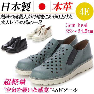 { {v Xj[J[ fB[X RtH[gV[Y Xb| [Jbg 傫TCY JWAV[Y TChSA L 4E y p`O