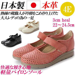 { {v pvX [q[ tbg Xgbv  ₷ ɂȂ L 4E tbgV[Y RtH[gV[Y tbgpvX p`O