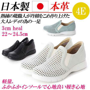 { {v Xj[J[ fB[X RtH[gV[Y Xb| [Jbg 傫TCY JWAV[Y TChSA L 4E y p`O  