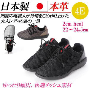 { {v Xj[J[ fB[X [Jbg bV y L 4E [XAbvV[Y JWA U[Xj[J[  ubN O[ uE