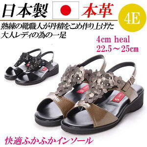 { {v T_ fB[X [q[ tbg  O[ U[ L 4E RtH[gT_ fB[XT_ obNXgbv 傫TCY