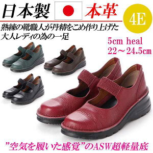 { {v pvX [q[  tbg S Xgbv ₷ ɂȂ L 4E tbgV[Y RtH[gV[Y tbgpvX  