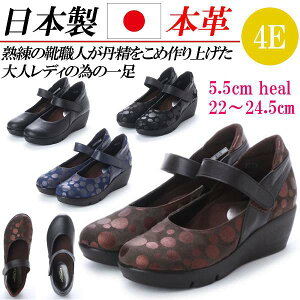 { {v RtH[gV[Y tbgV[Y Xgbv pvX EFbW  [q[ tbg L 4E   uE lCr[ hbg