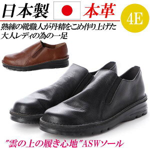 { {v Xb| L 4E RtH[gV[Y TChSA fB[X JWAV[Y ₷ Xj[J[ RȂ  ubN uE