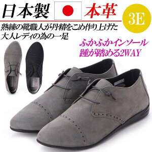 { {v [XAbvV[Y IbNXtH[hV[Y tbgV[Y L 3E }jbVV[Y  ubN O[ XG[h Xb|