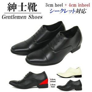 rWlXV[Y Y C tH[} amC  ubN zCg Xg[g`bv H V[NbgV[Y 7cm   N[g rWlX