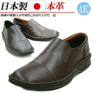 { {v v Xb| Y RtH[gV[Y TChSA U[ JWAV[Y U[Xj[J[ RȂ  ubN uE