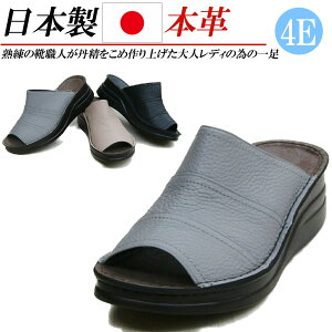 { {v T_ fB[X  tbg T{T_ tbgT_ U[ RtH[gT_ L 4E Xbp  ubN O[ x[W