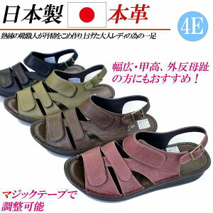 { {v T_ fB[X 4E L b O [q[ tbg  U[ RtH[gT_ fB[XT_ Xgbv 傫TCY