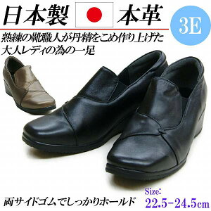 { {v Xb| fB[X JWAV[Y TChSA U[ Xj[J[ 3E RtH[gV[Y  EFbWq[ Vv