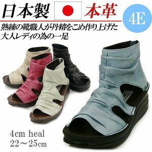 { {v T_ fB[X 4E L u[cT_ [q[  EFbWq[ U[ EFbWT_ OfBG[^[