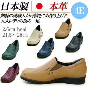 { {v Xb| fB[X RtH[gV[Y JWAV[Y TChSA Xj[J[ [Jbg  ₷ ɂȂ L 4E y